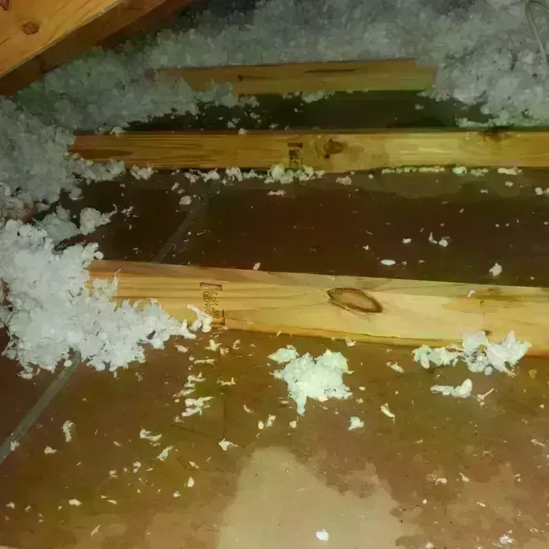 Attic Water Damage in Genoa, IL